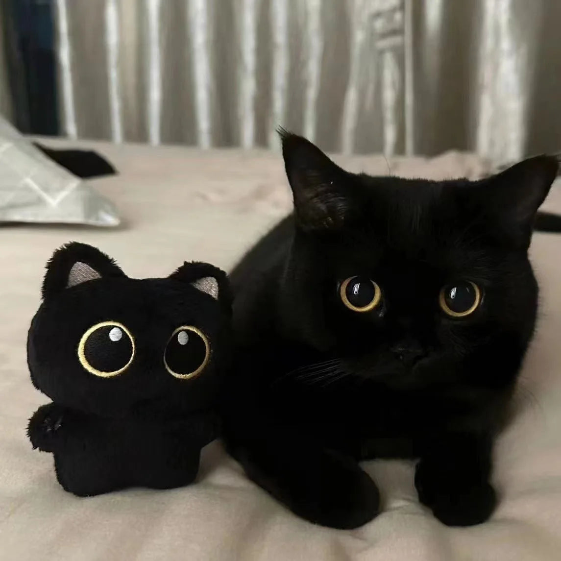 Black Cat Plush Doll – 10cm Soft Cuddly Pillow & Pendant Toy